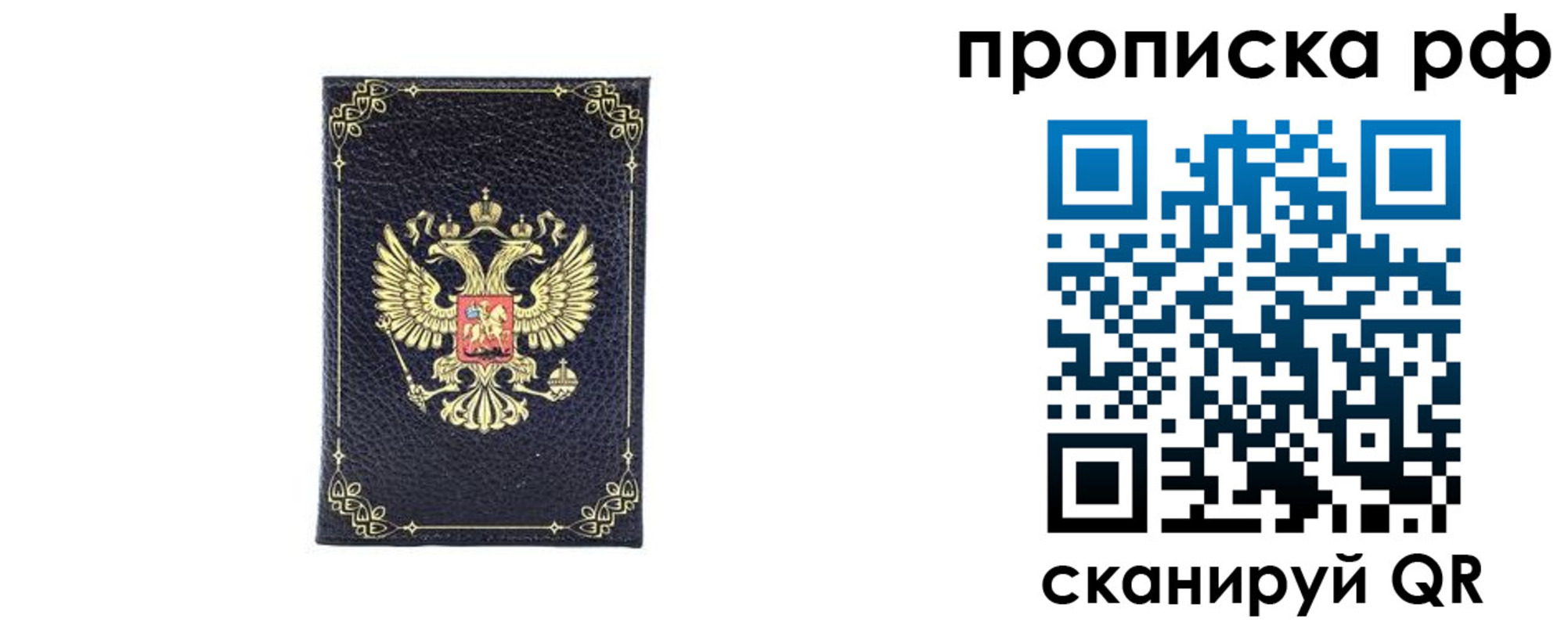 прописка для школы в Новокуйбышевске